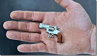 smallest gun in the world