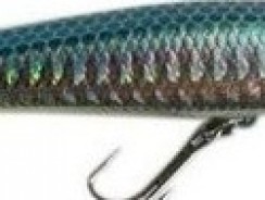 Rapala X-Rap Jerk bait 08 Fishing Lures