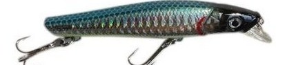 Rapala X-Rap Jerk bait 08 Fishing Lures